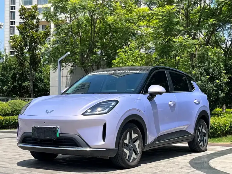 Wuling Bingo S