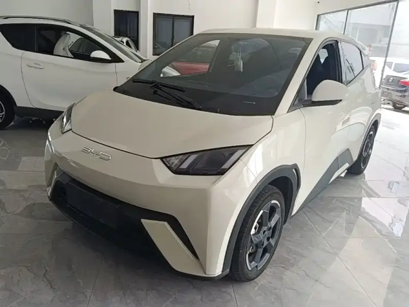 BYD Seagull
