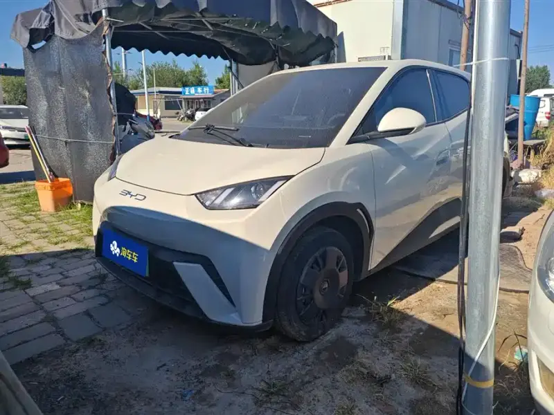 BYD Seagull