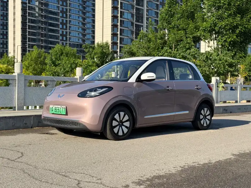 Wuling Bingo