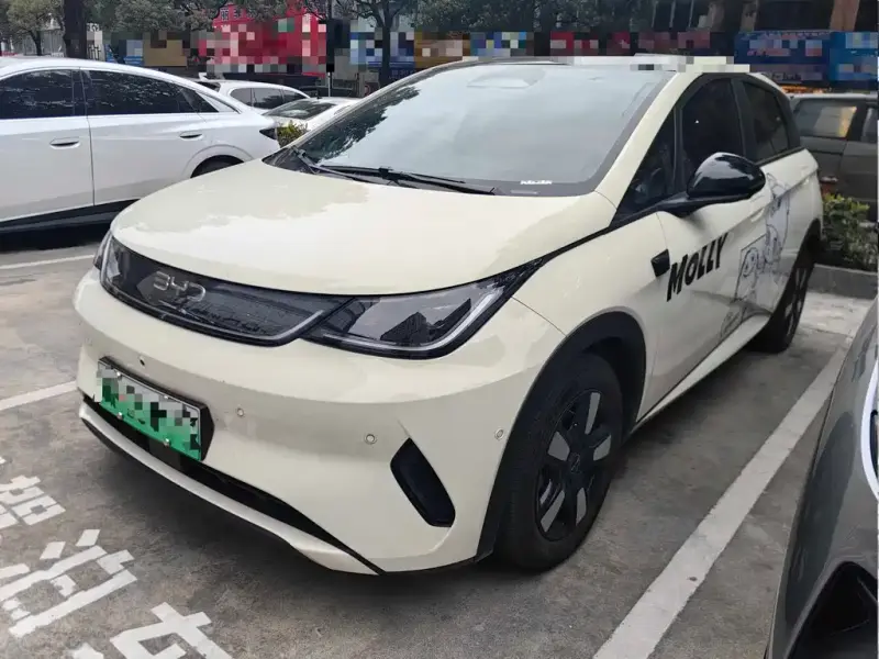 BYD Dolphin
