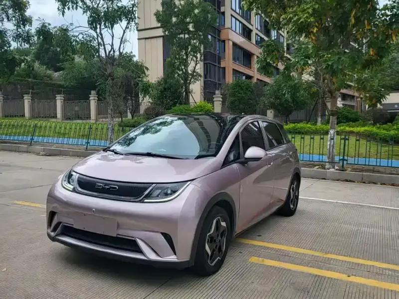 BYD Dolphin