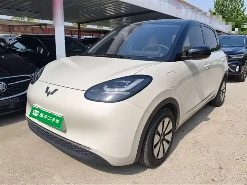 Wuling Bingo