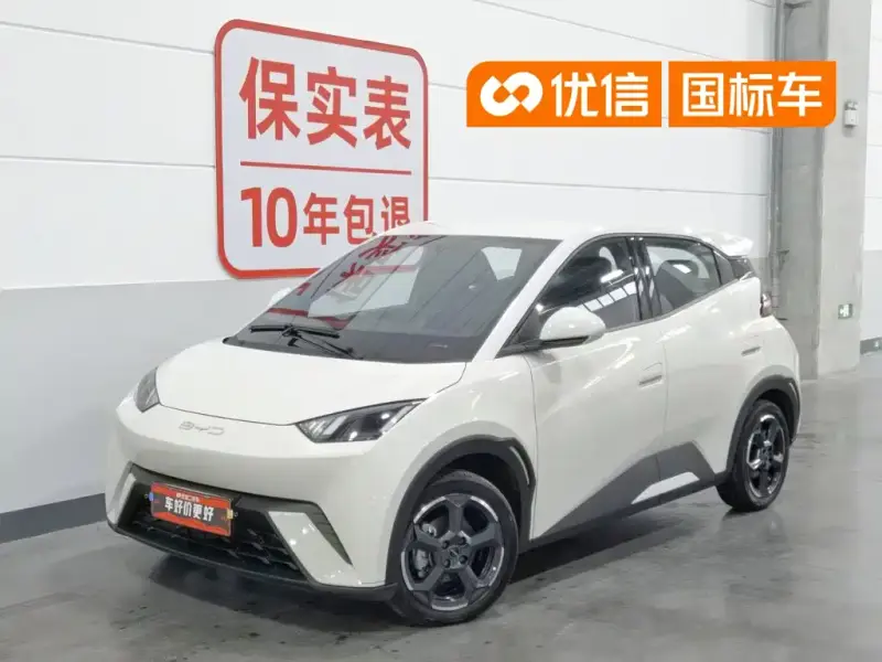 BYD Seagull
