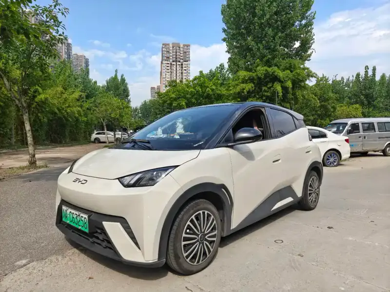BYD Seagull