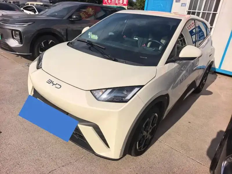 BYD Seagull