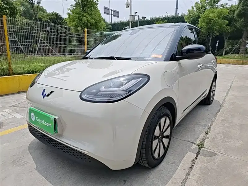 Wuling Bingo