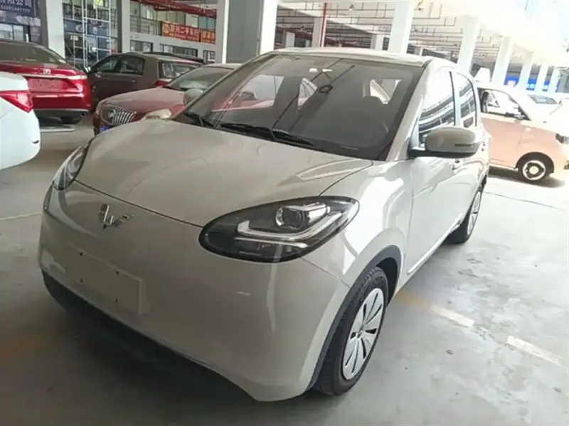 Wuling Bingo
