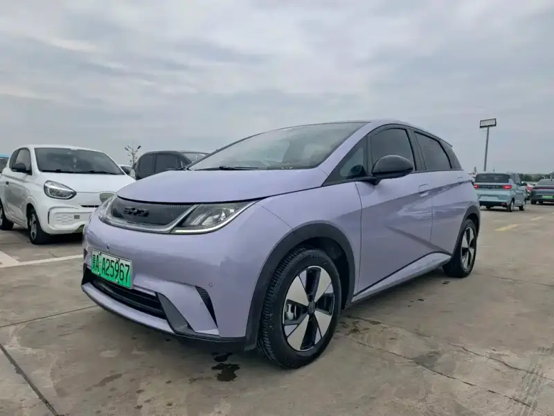 BYD Dolphin