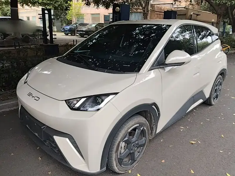 BYD Seagull