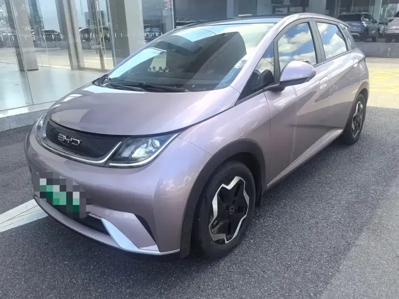 BYD Dolphin