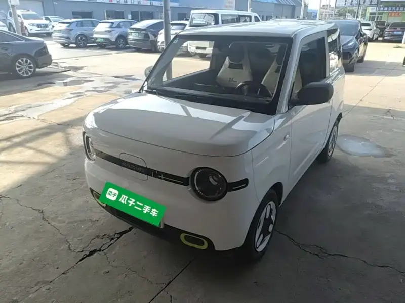 Galaxy Panda Mini (Panda)