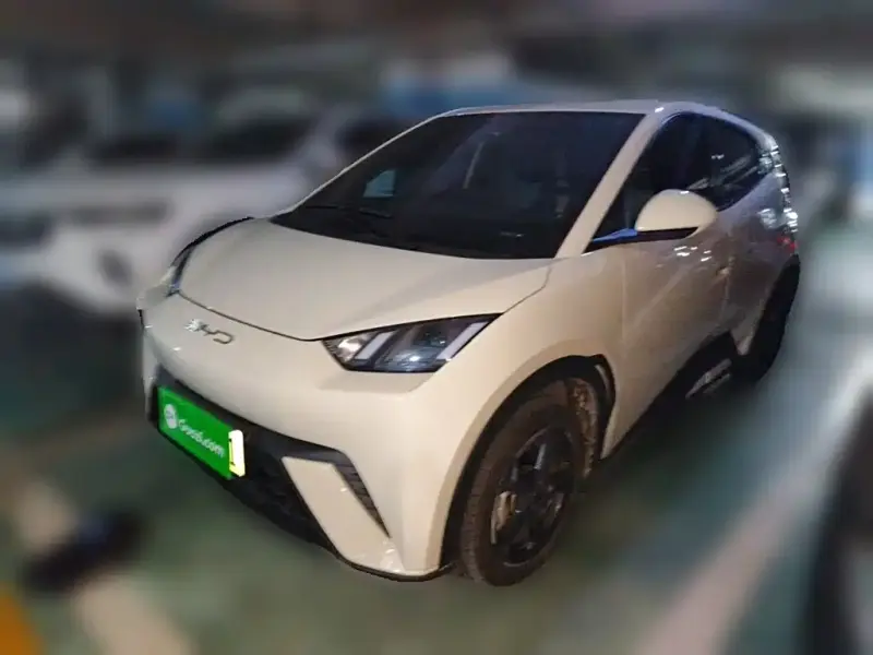 BYD Seagull