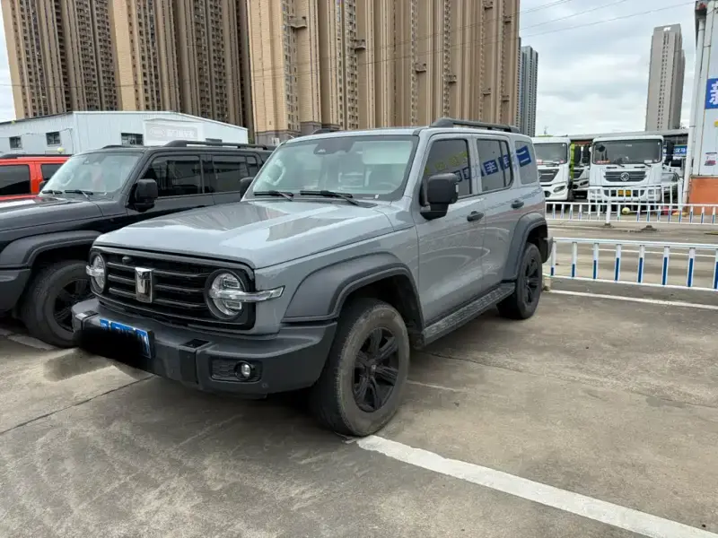 Tank 300