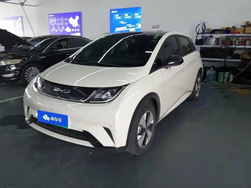 BYD Dolphin