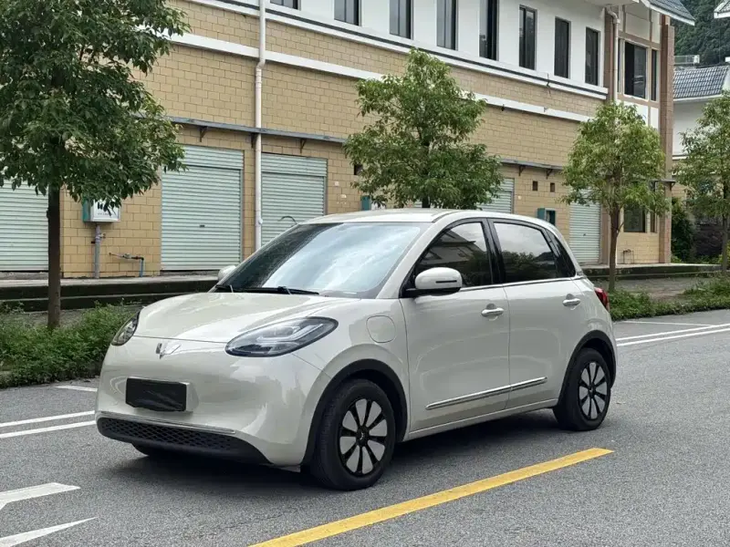 Wuling Bingo