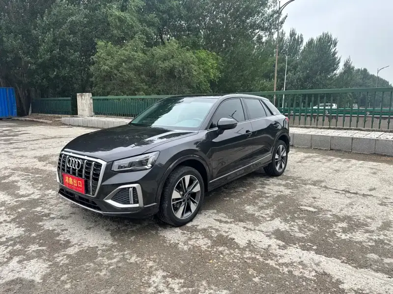 Audi Q2L