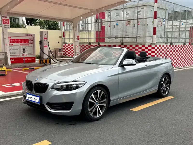 BMW 2 Series (Import)