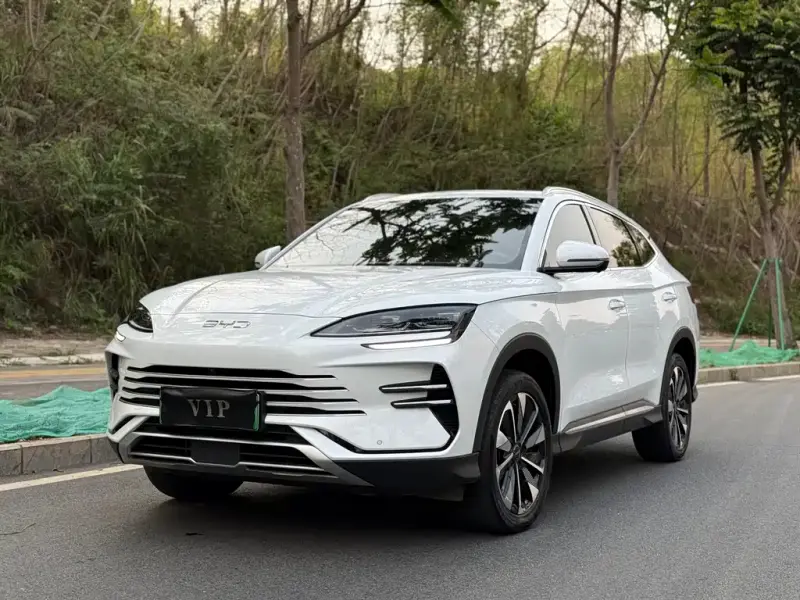 BYD Seal U (PLUS New Energy)