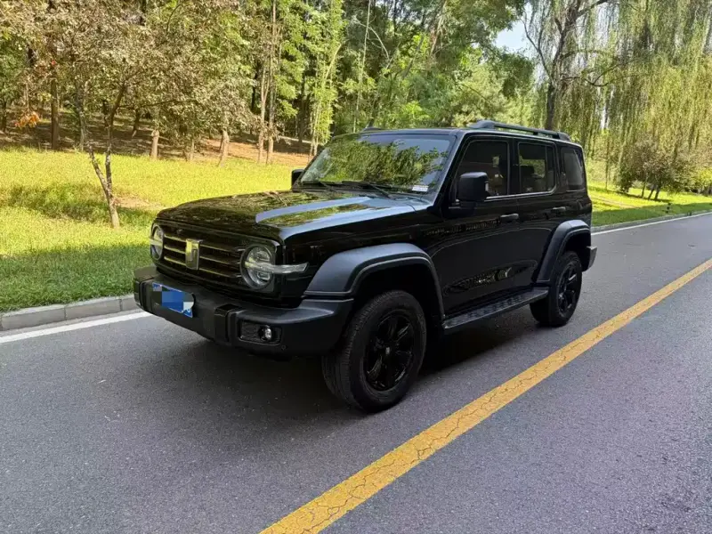 Tank 300