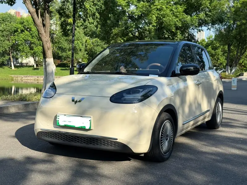 Wuling Bingo