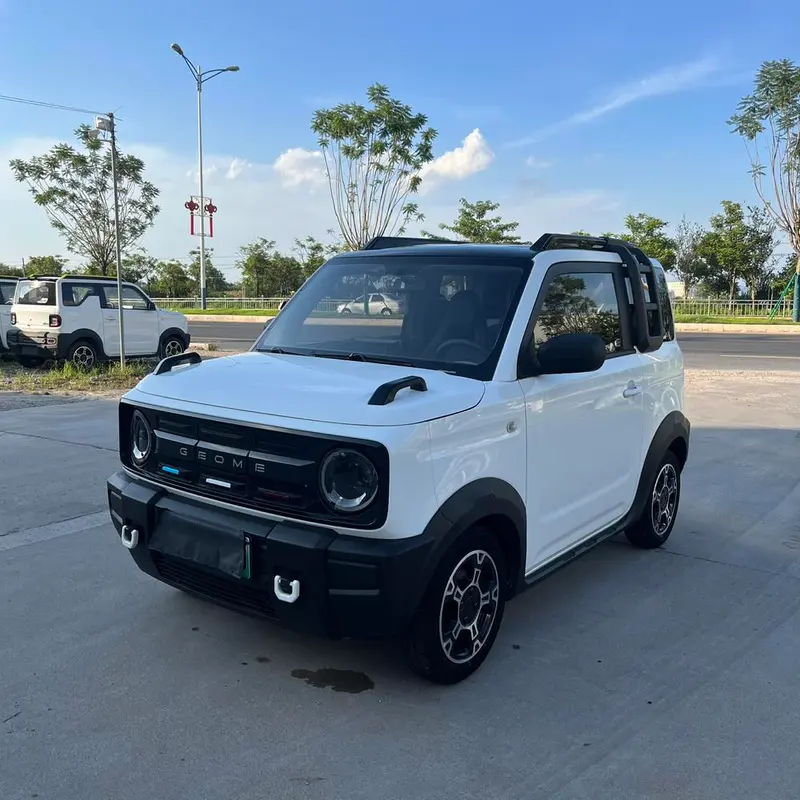 Galaxy Panda Mini (Panda)