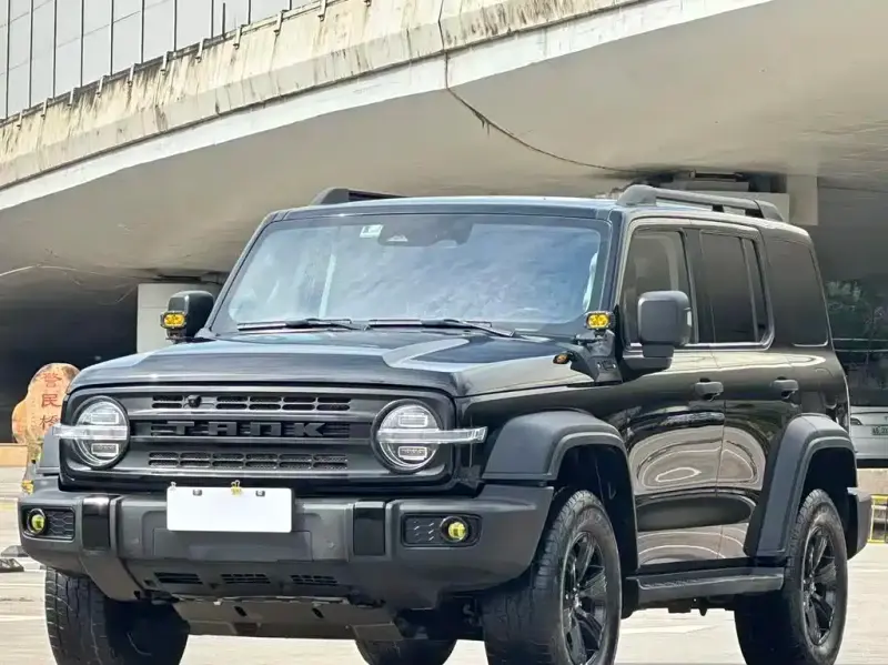 Tank 300