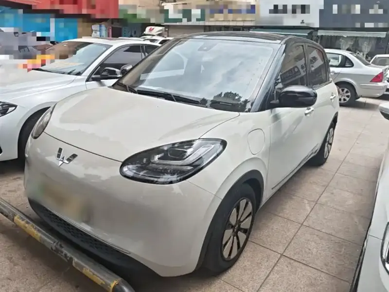 Wuling Bingo