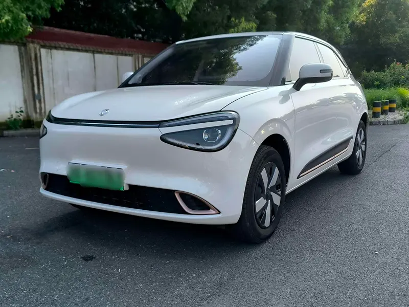 Dongfeng Yipai Nami 01