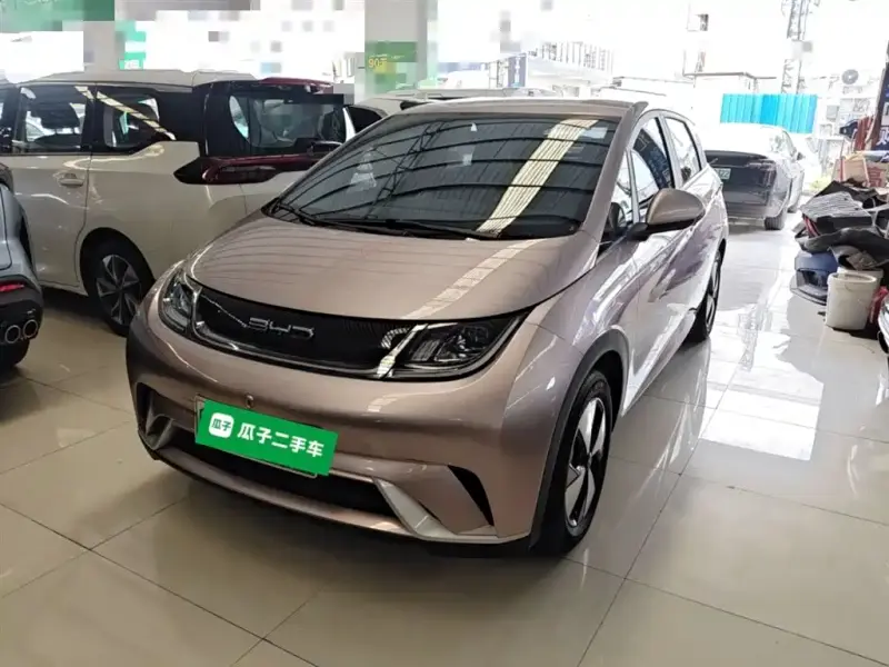 BYD Dolphin