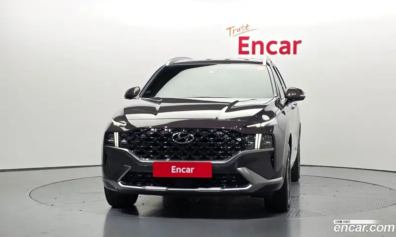 Hyundai Santa Fe (Santafe)