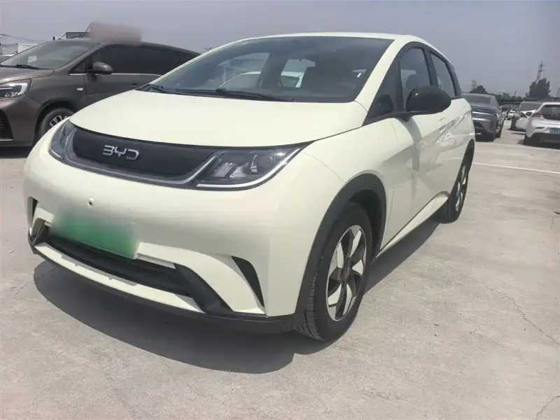 BYD Dolphin
