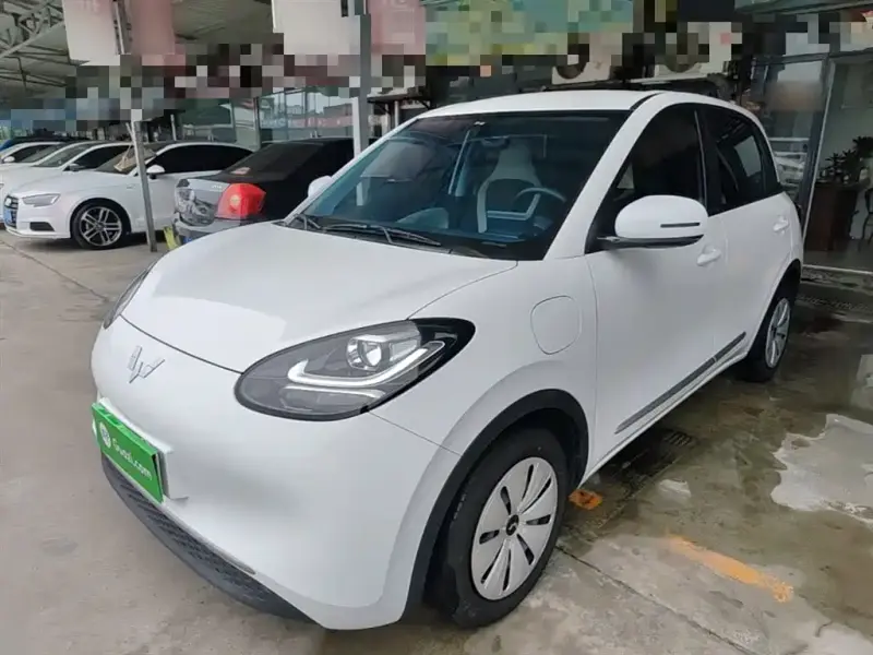 Wuling Bingo