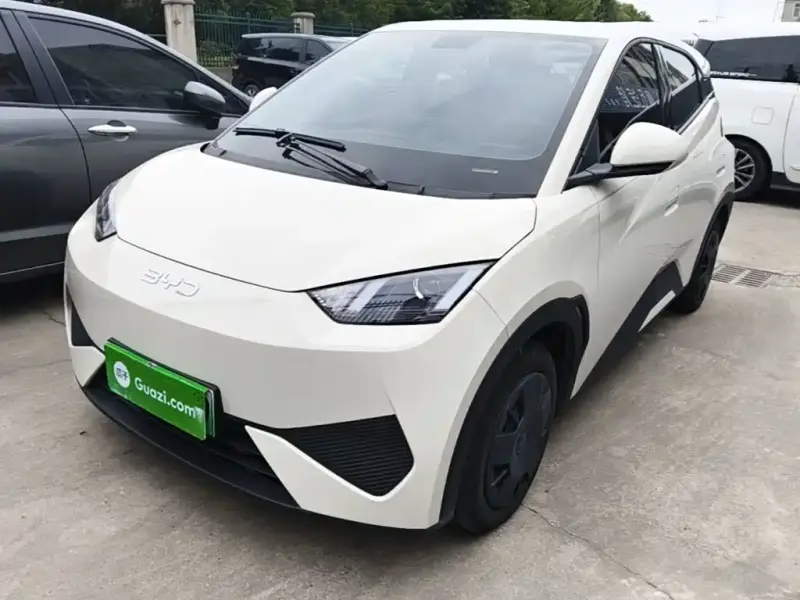 BYD Seagull