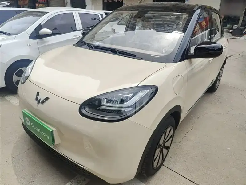 Wuling Bingo