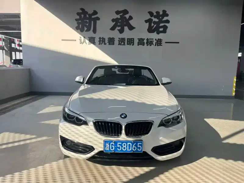 BMW 2 Series (Import)