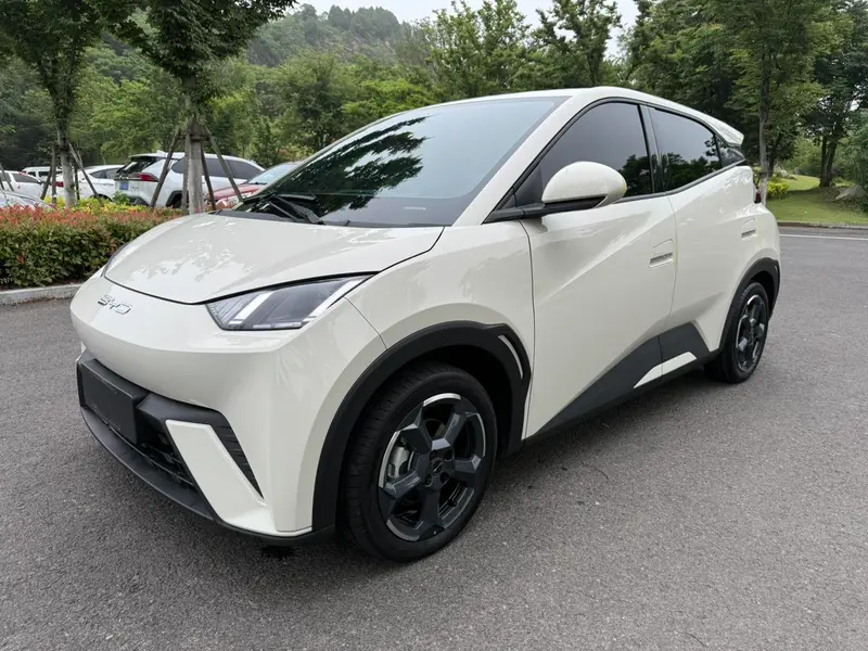 BYD Seagull
