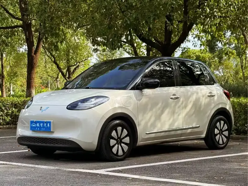 Wuling Bingo
