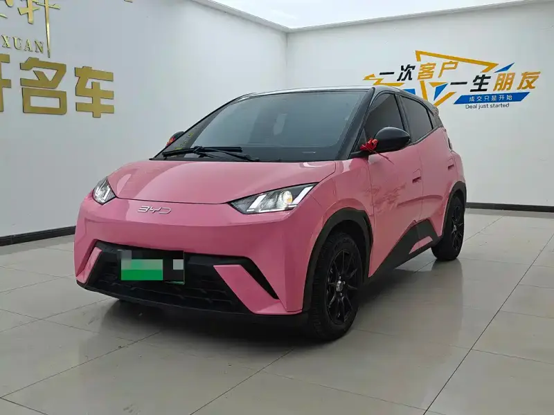 BYD Seagull