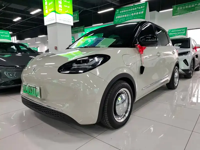 Wuling Bingo