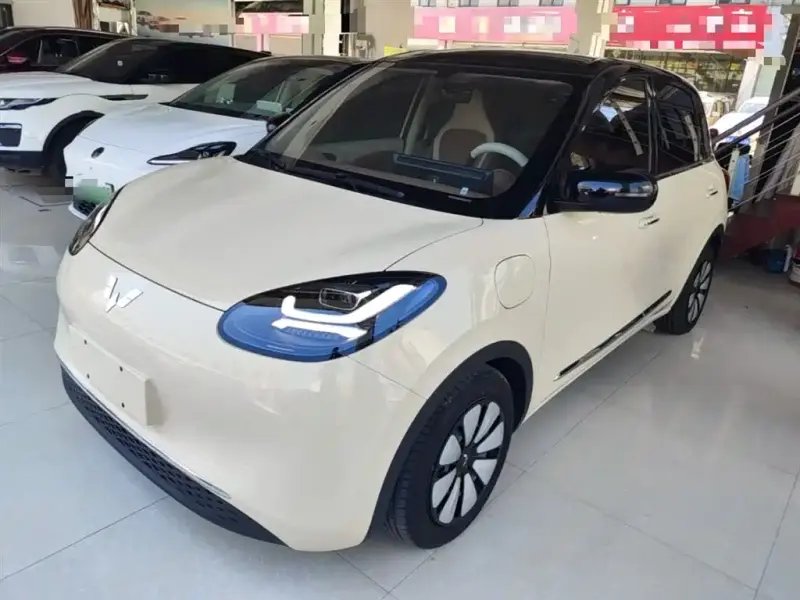Wuling Bingo