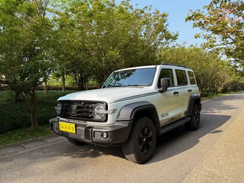 Tank 300