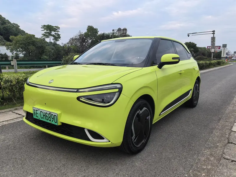 Dongfeng Yipai Nami 01