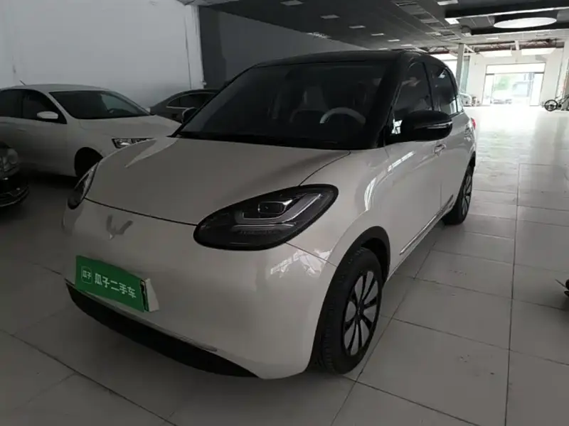 Wuling Bingo