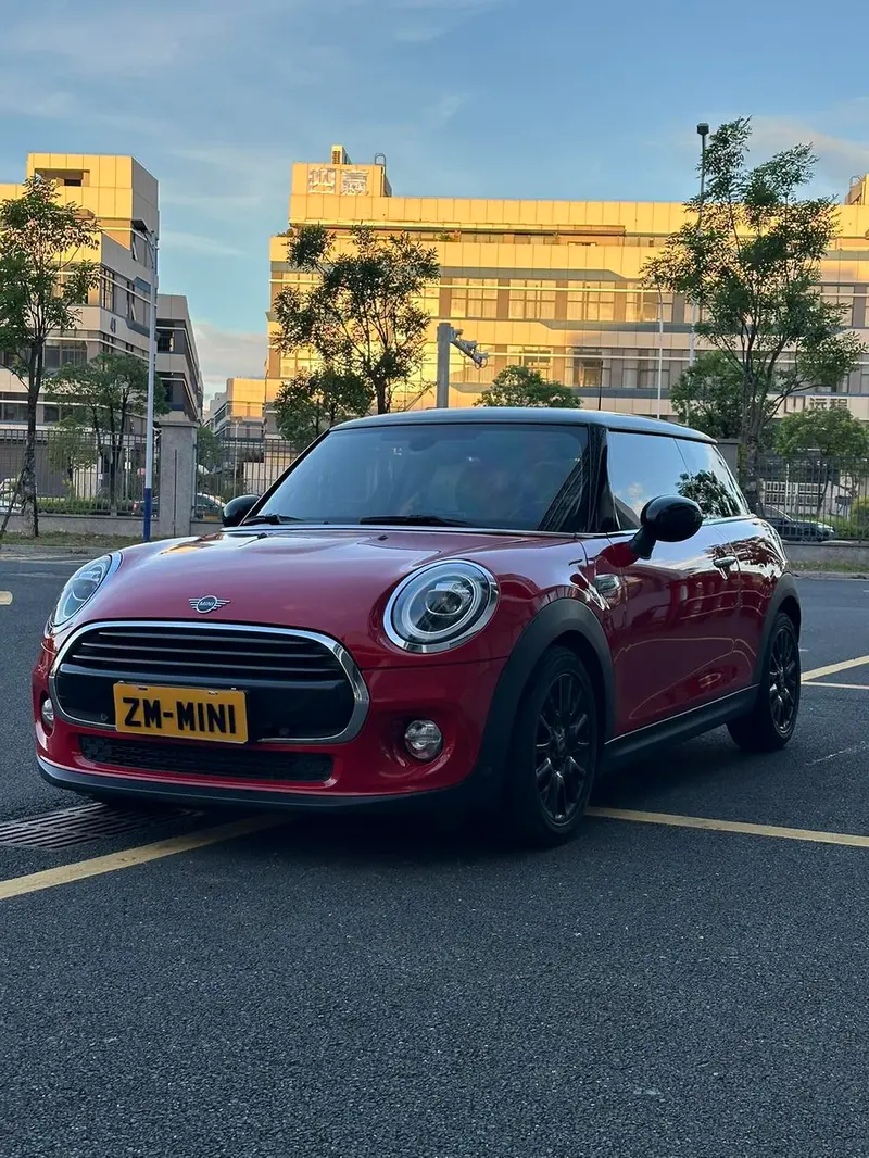 MINI
