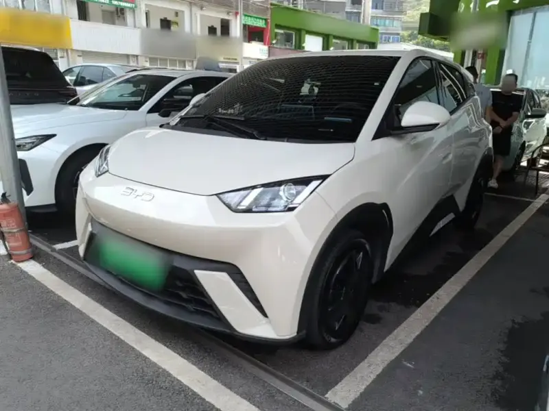 BYD Seagull