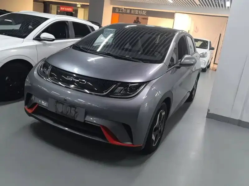 BYD Dolphin