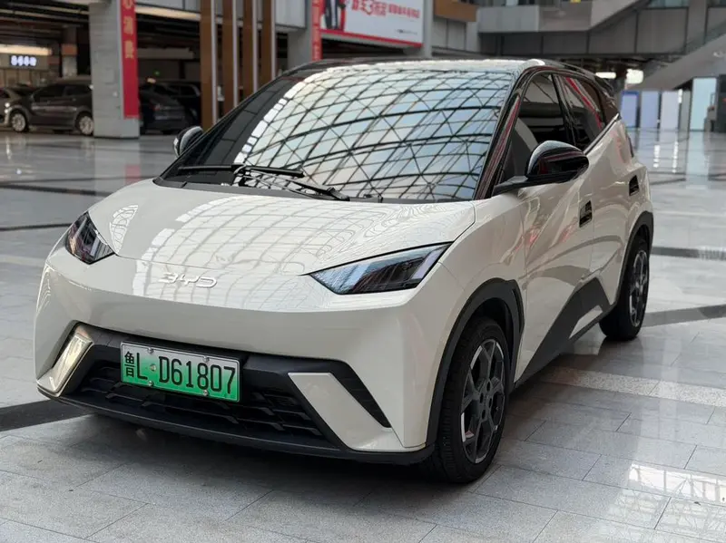 BYD Seagull