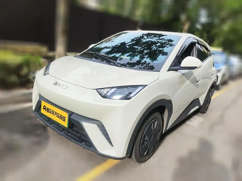 BYD Seagull