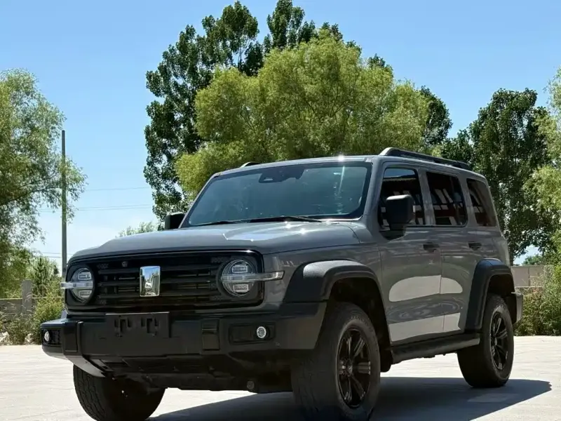 Tank 300